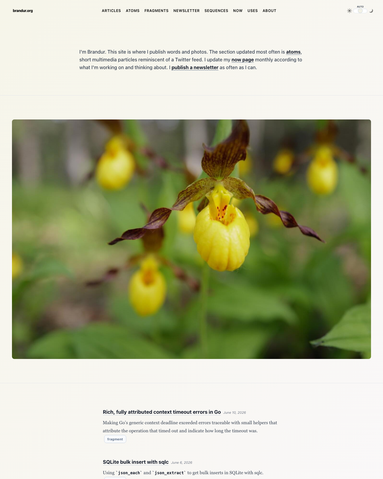 Screenshot of Brandur Leach's blog